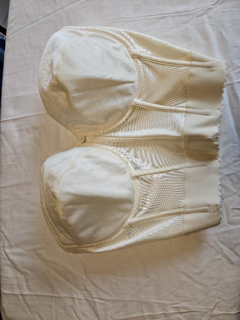 Dominique Brand Strapless Longline Bra 36F